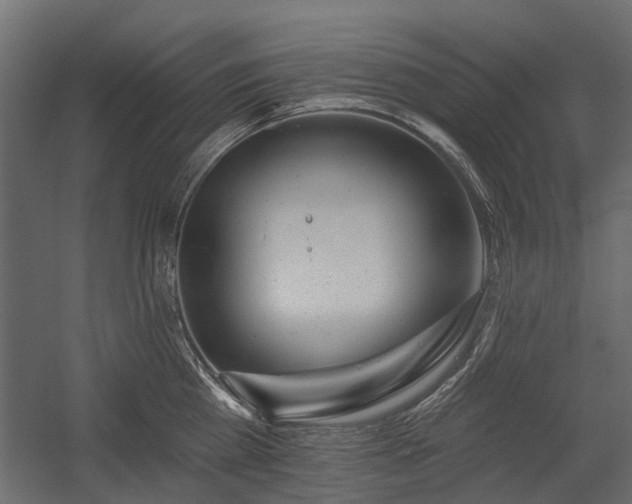 X0000054380809200507291116
