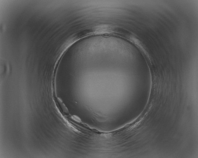X0000054380810200507291116
