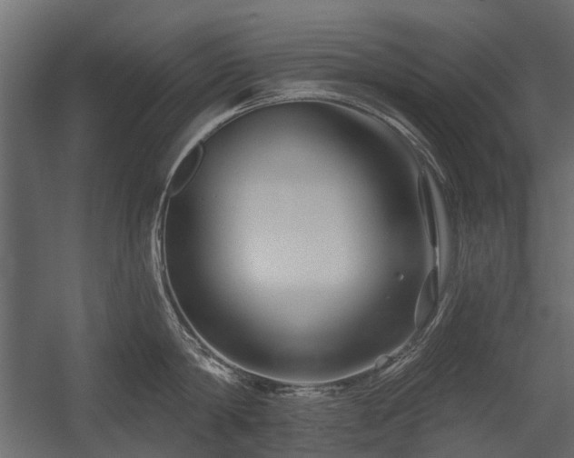 X0000054380814200507291116