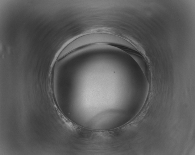 X0000054380816200507291116