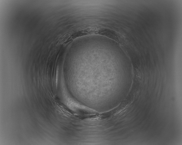 X0000054380818200507291115