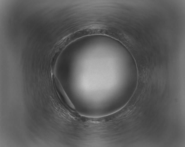 X0000054380821200507291115