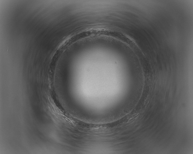 X0000054380823200507291115