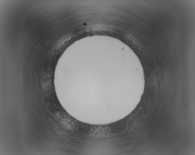 X0000054380824200507291115
