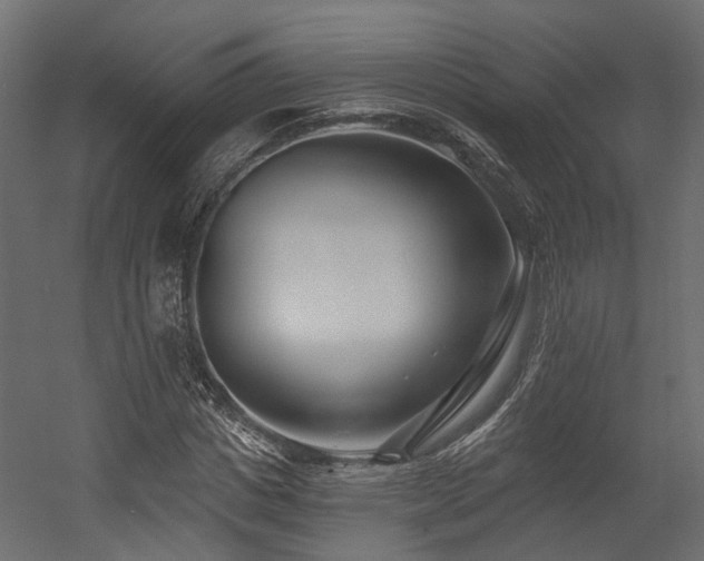 X0000054380825200507291115