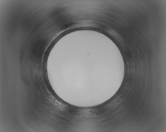 X0000054380828200507291115