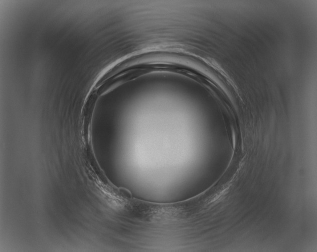 X0000054380830200507291115
