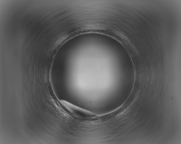 X0000054380833200507291115