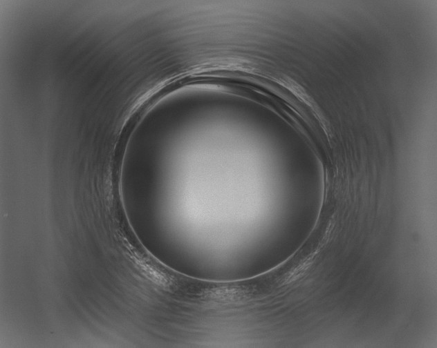 X0000054380834200507291115