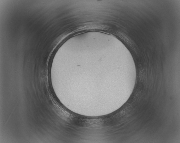 X0000054380836200507291115