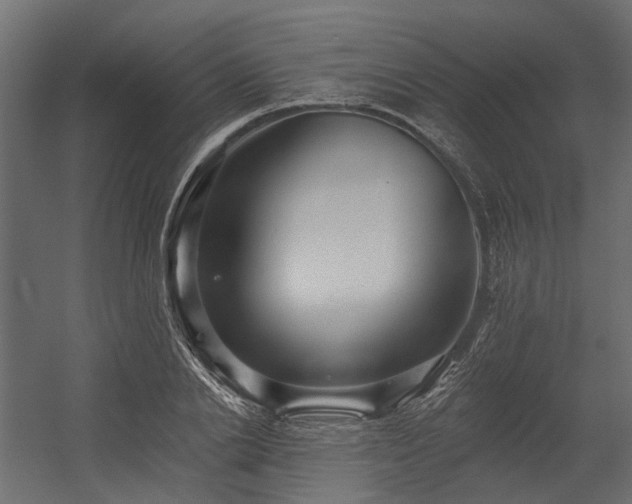 X0000054380838200507291115
