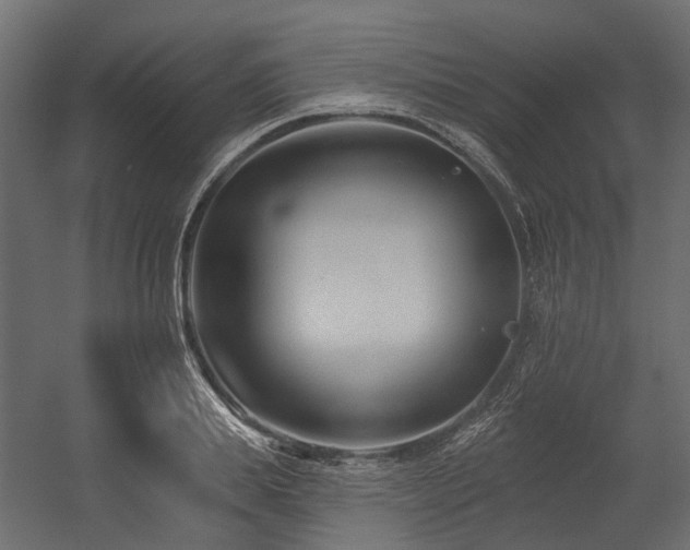 X0000054380839200507291115