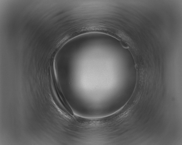 X0000054380841200507291115
