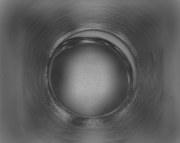 X0000054380842200507291115