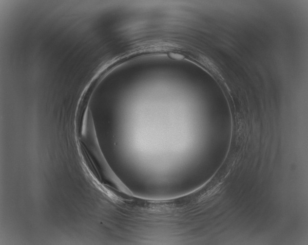 X0000054380843200507291115