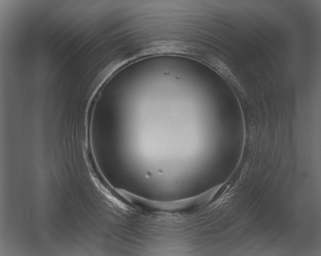 X0000054380844200507291115