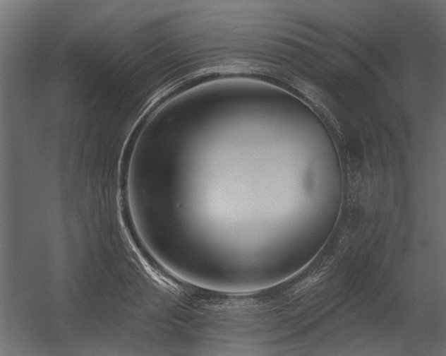 X0000054380845200507291115