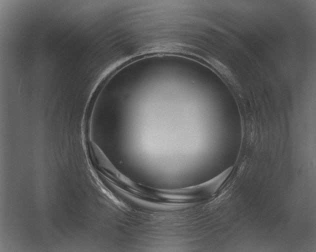 X0000054380846200507291115