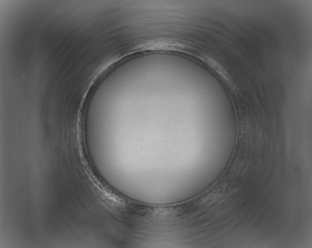 X0000054380848200507291115