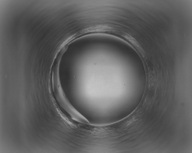 X0000054380850200507291115