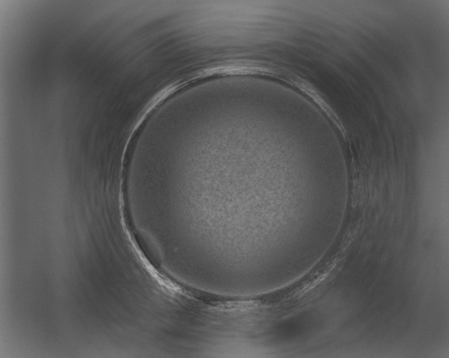 X0000054380853200507291115