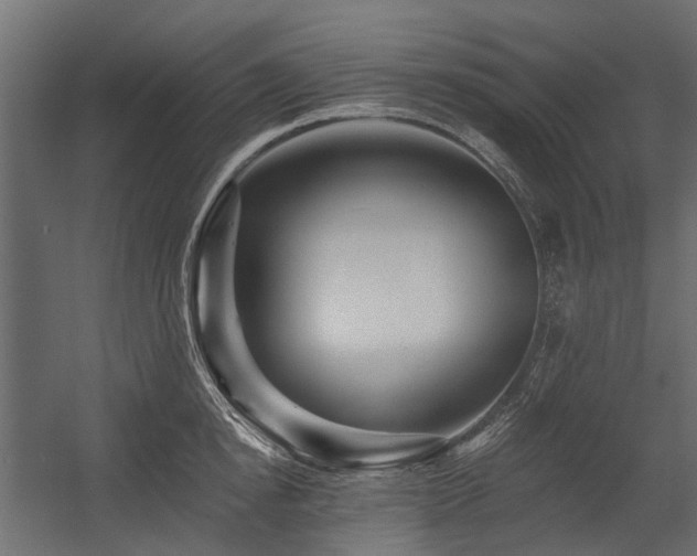 X0000054380854200507291115