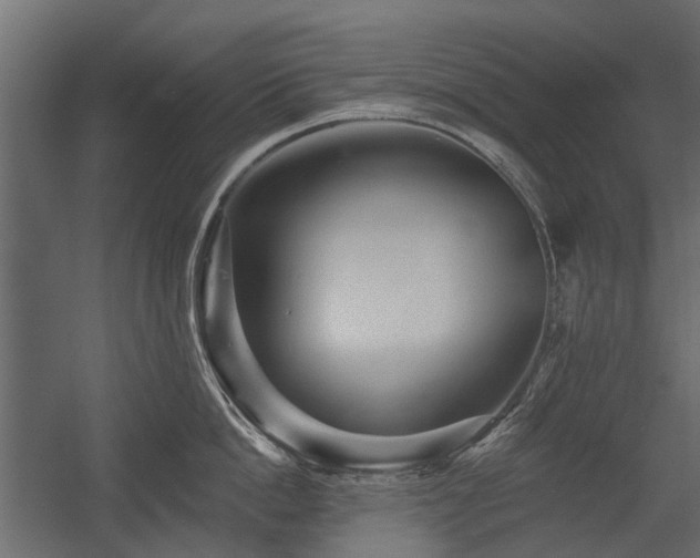 X0000054380862200507291116