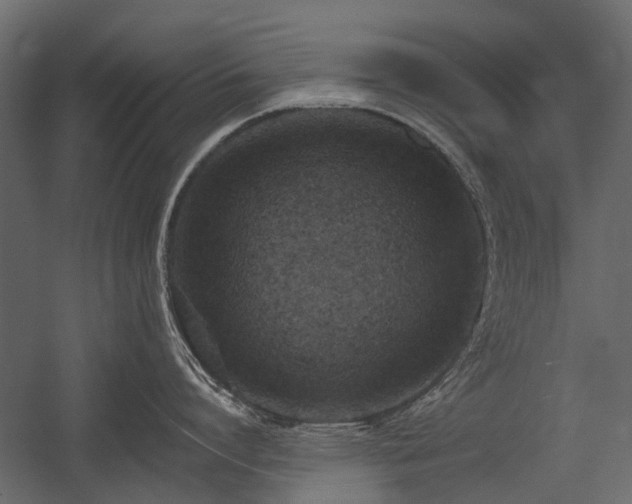X0000054380864200507291116
