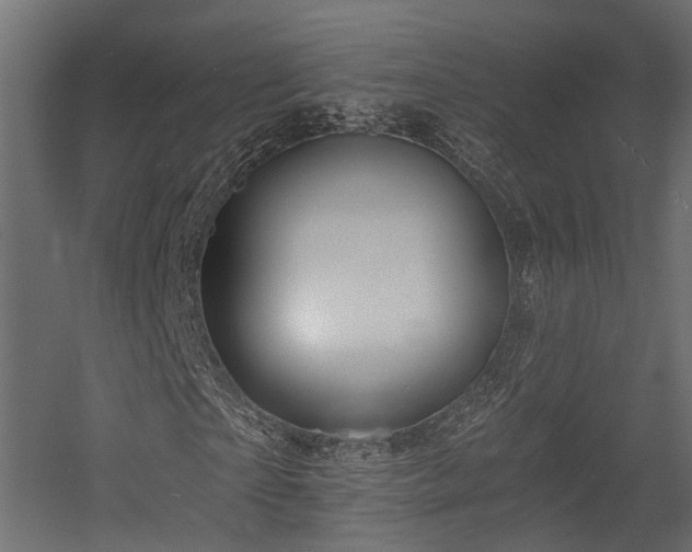 X0000054380865200507291115