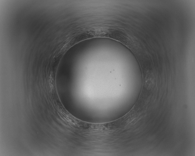 X0000054380866200507291115