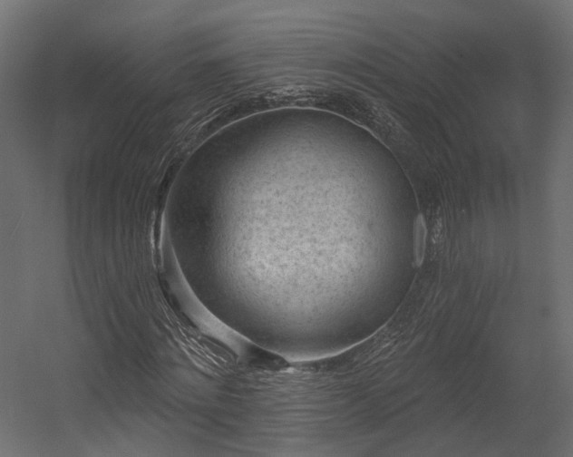 X0000054380868200507291115