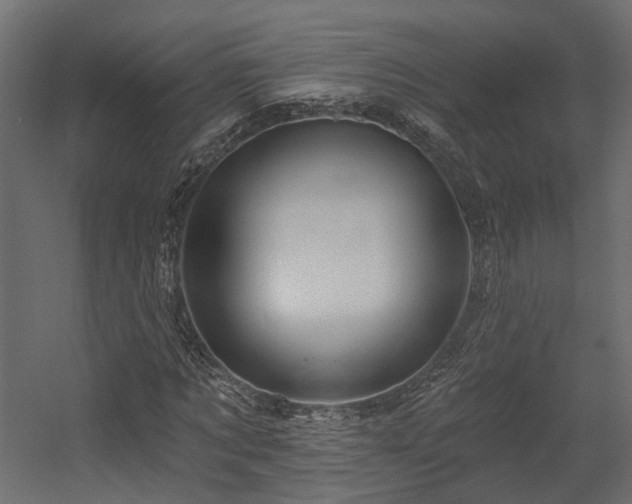 X0000054380869200507291115