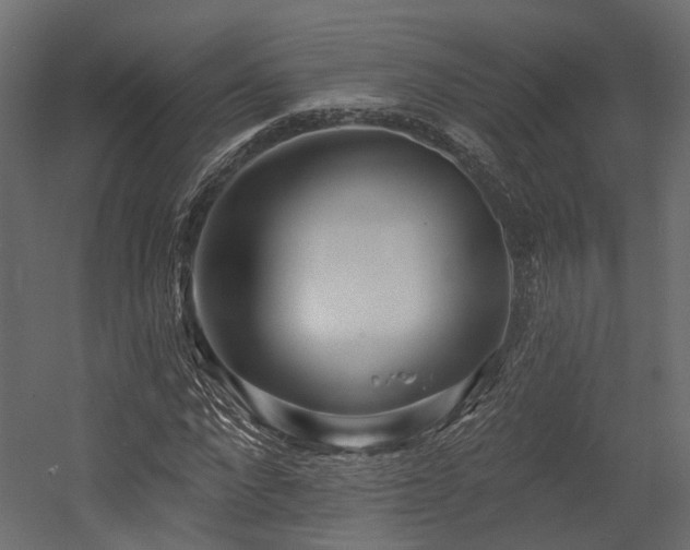 X0000054380872200507291115