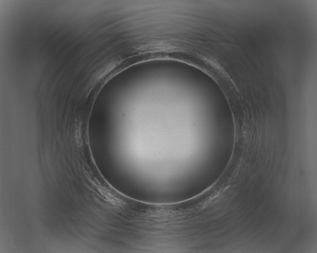 X0000054380873200507291115