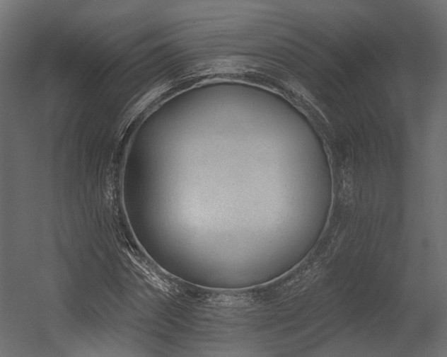 X0000054380874200507291115