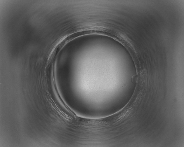X0000054380875200507291115