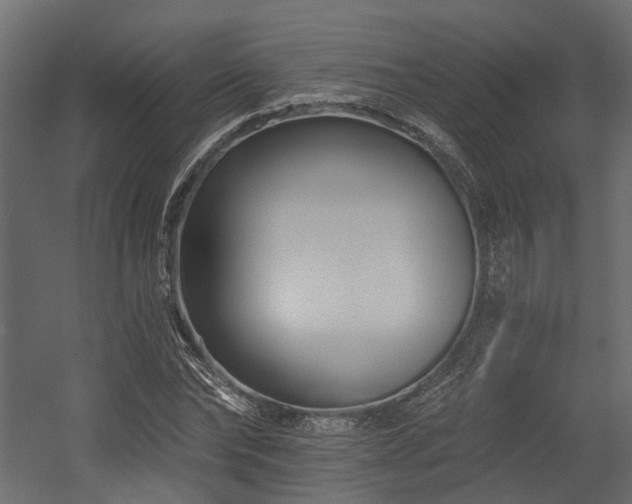 X0000054380878200507291115
