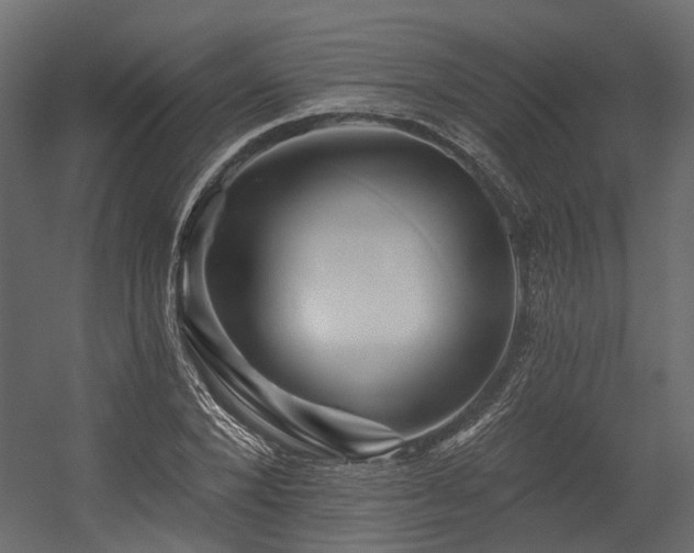 X0000054380880200507291114