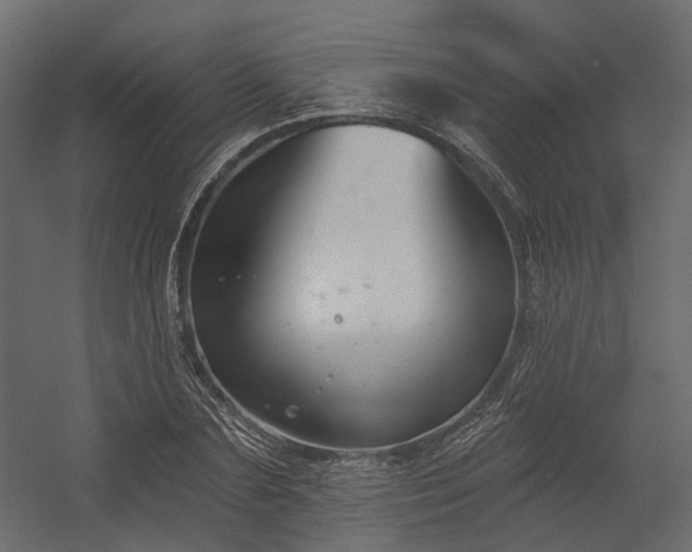 X0000054380883200507291114