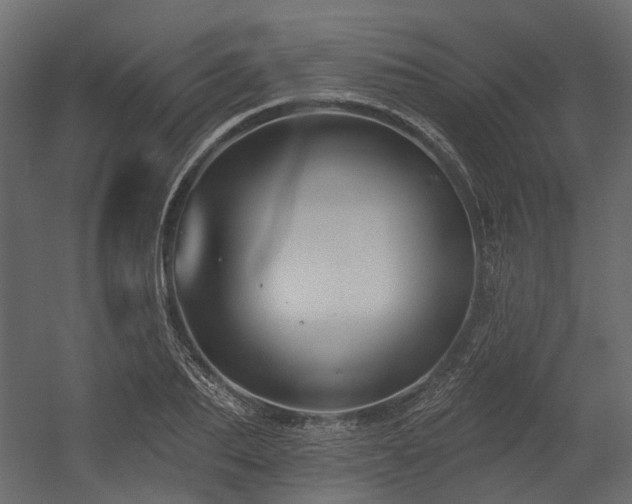 X0000054380887200507291114