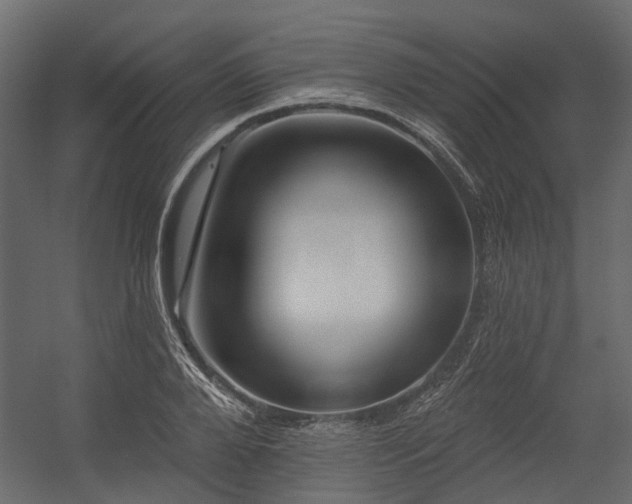 X0000054380888200507291114