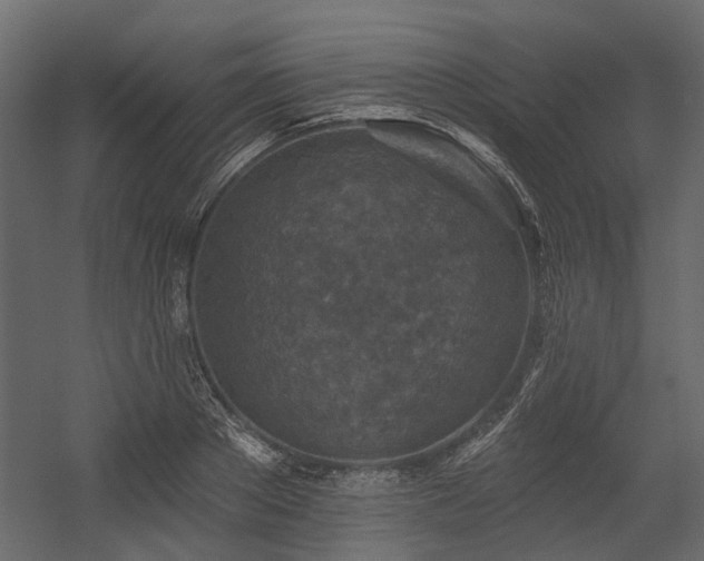 X0000054380889200507291114