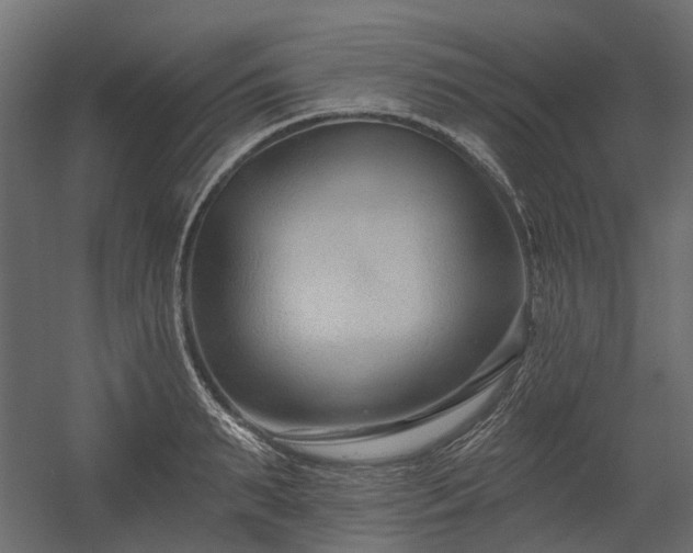 X0000054380895200507291114