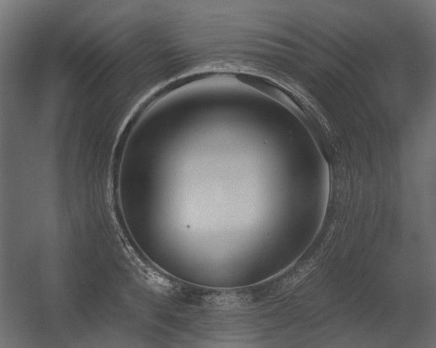 X0000054380896200507291114