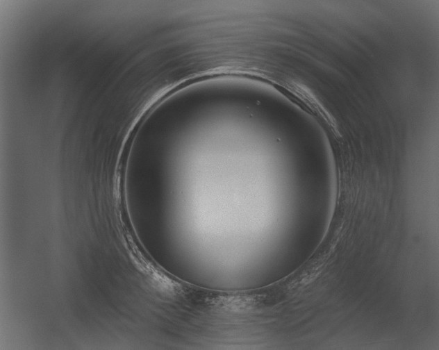 X0000054380900200507291114