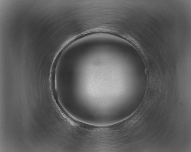 X0000054380902200507291114