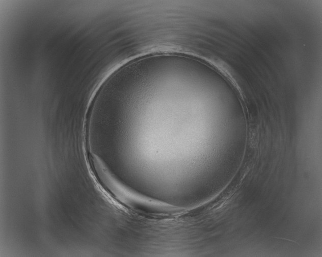 X0000054380903200507291114