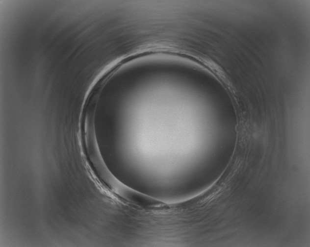 X0000054380904200507291114
