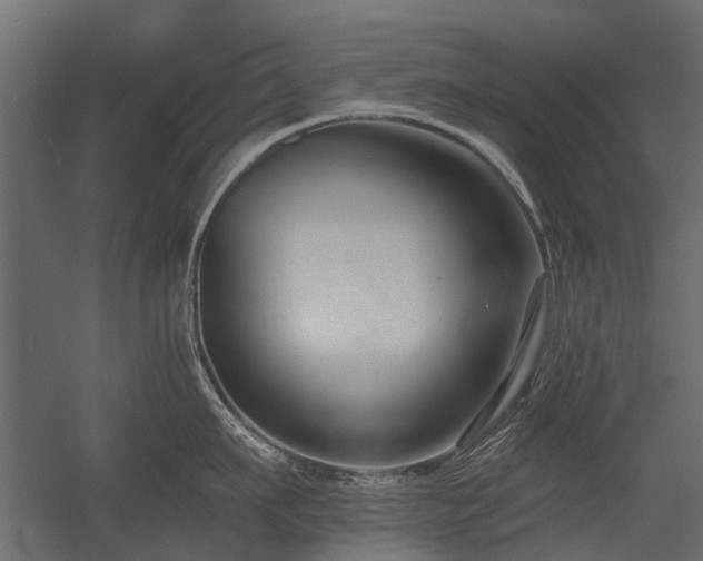 X0000054380911200507291114