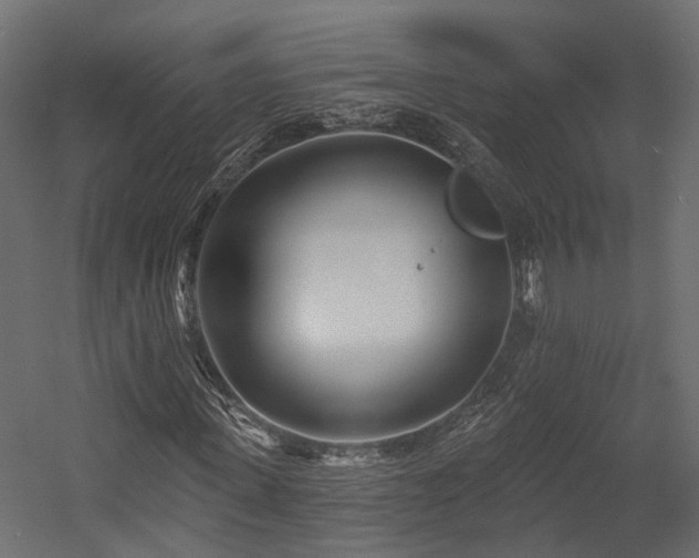 X0000054380915200507291113